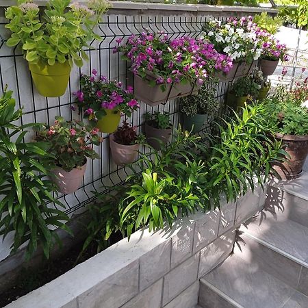טרביניה Apartment Iva מראה חיצוני תמונה