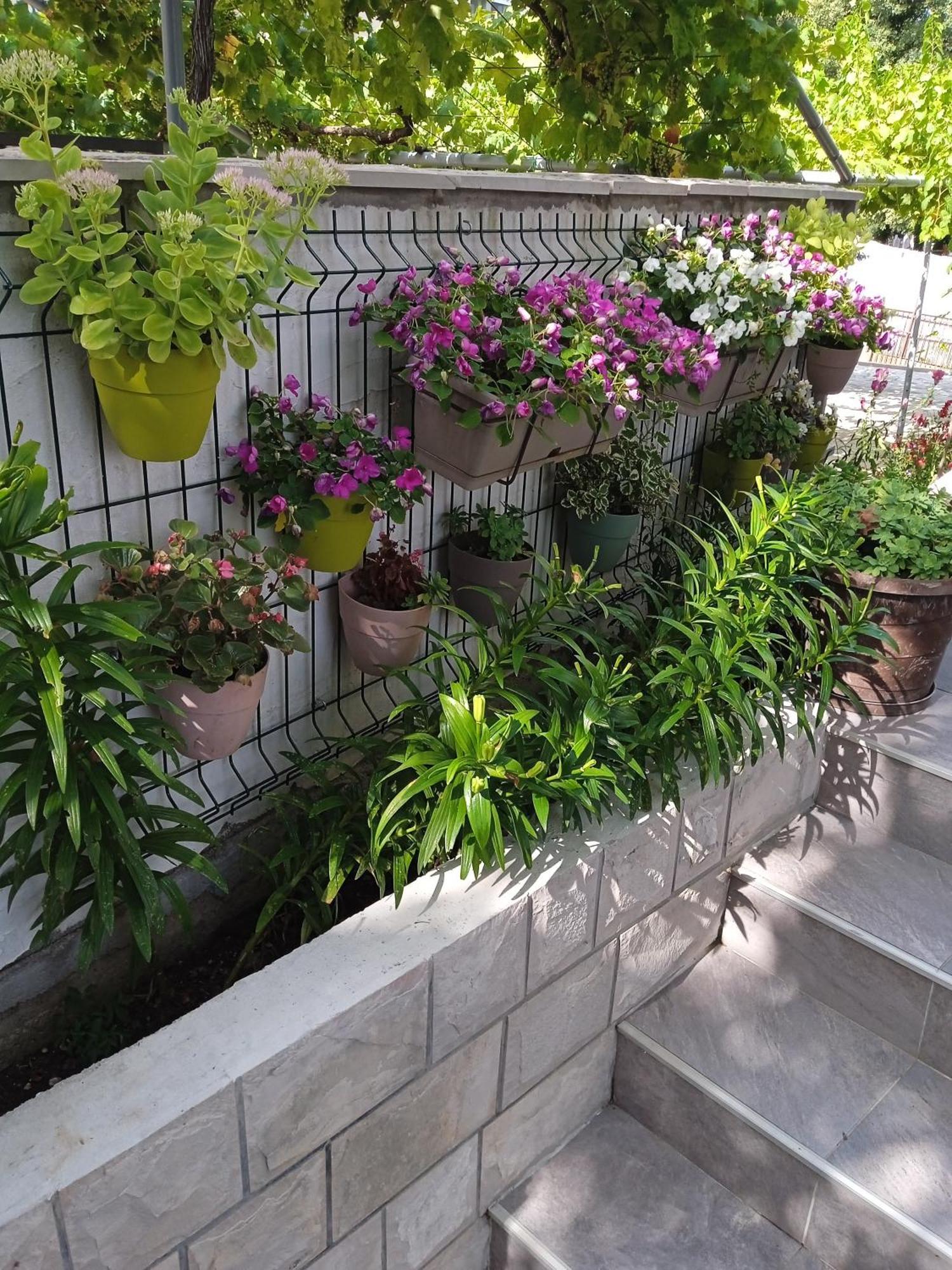 טרביניה Apartment Iva מראה חיצוני תמונה